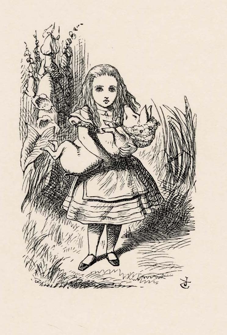 Now, what am I to do with this creature when I get it home?'