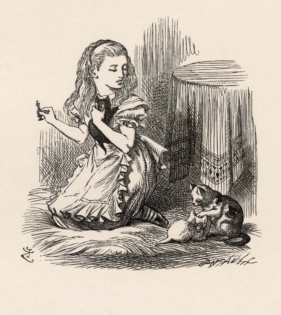 Snowdrop, my pet!' she went on, looking over her shoulder at the White Kitten...