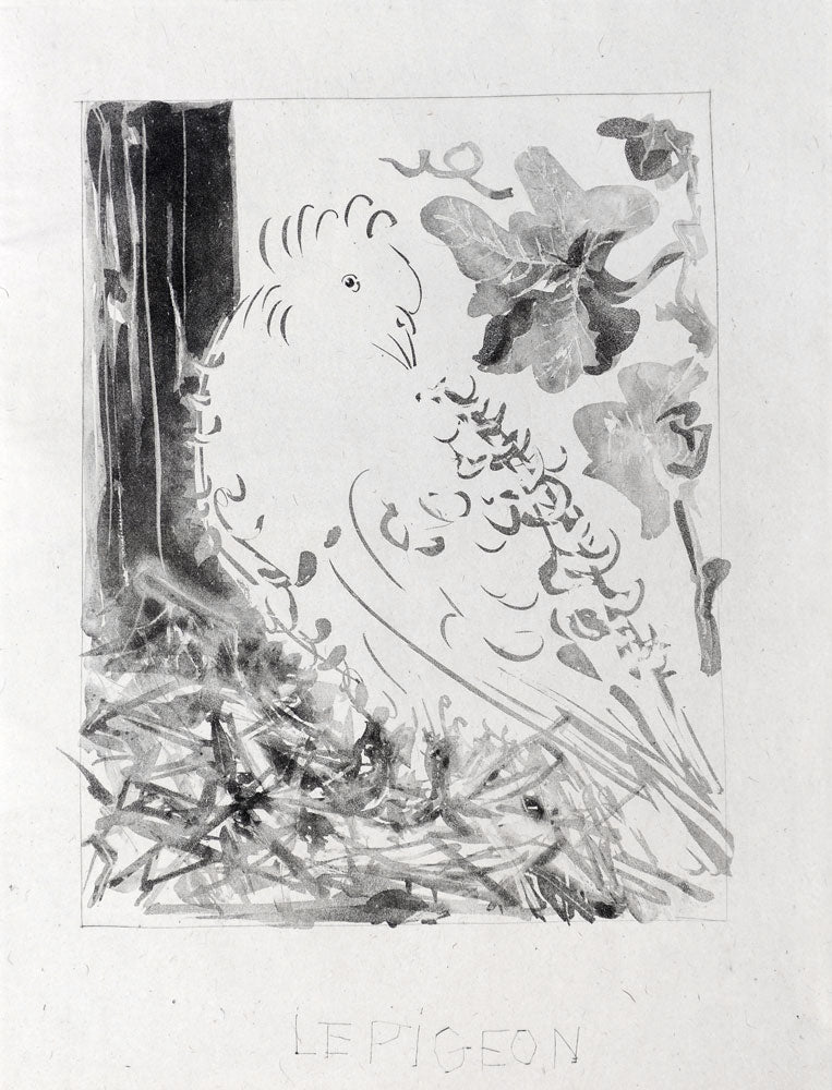 Le Pigeon