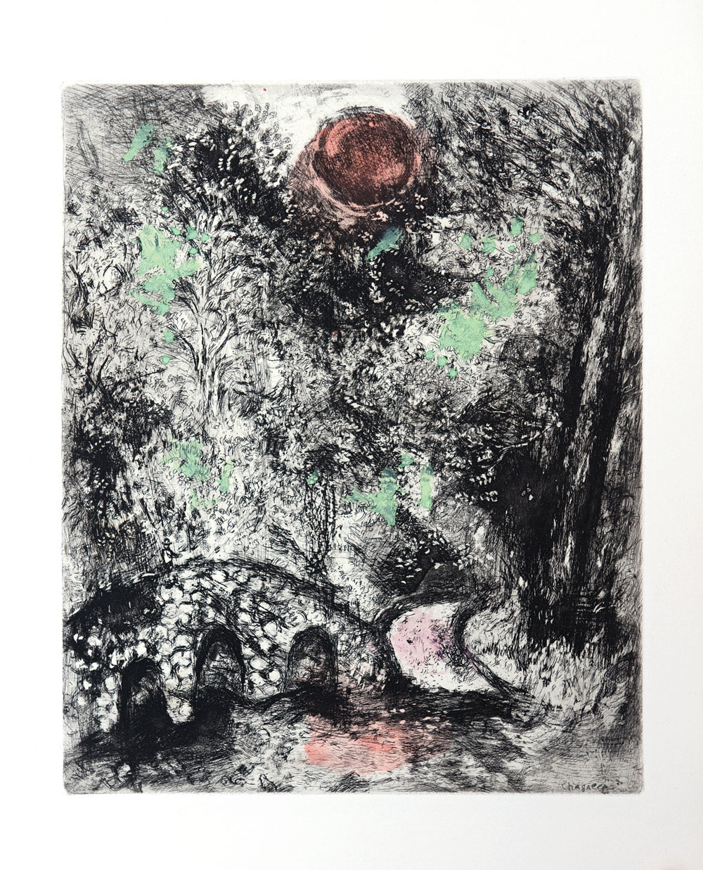 The Sun and the Frogs