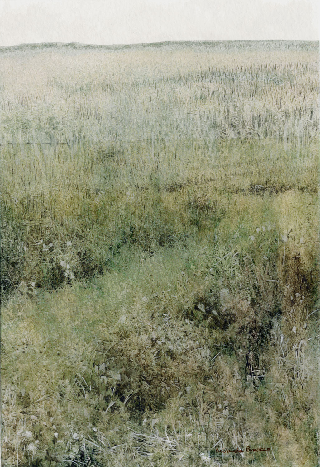 From the North Norfolk Coast Path