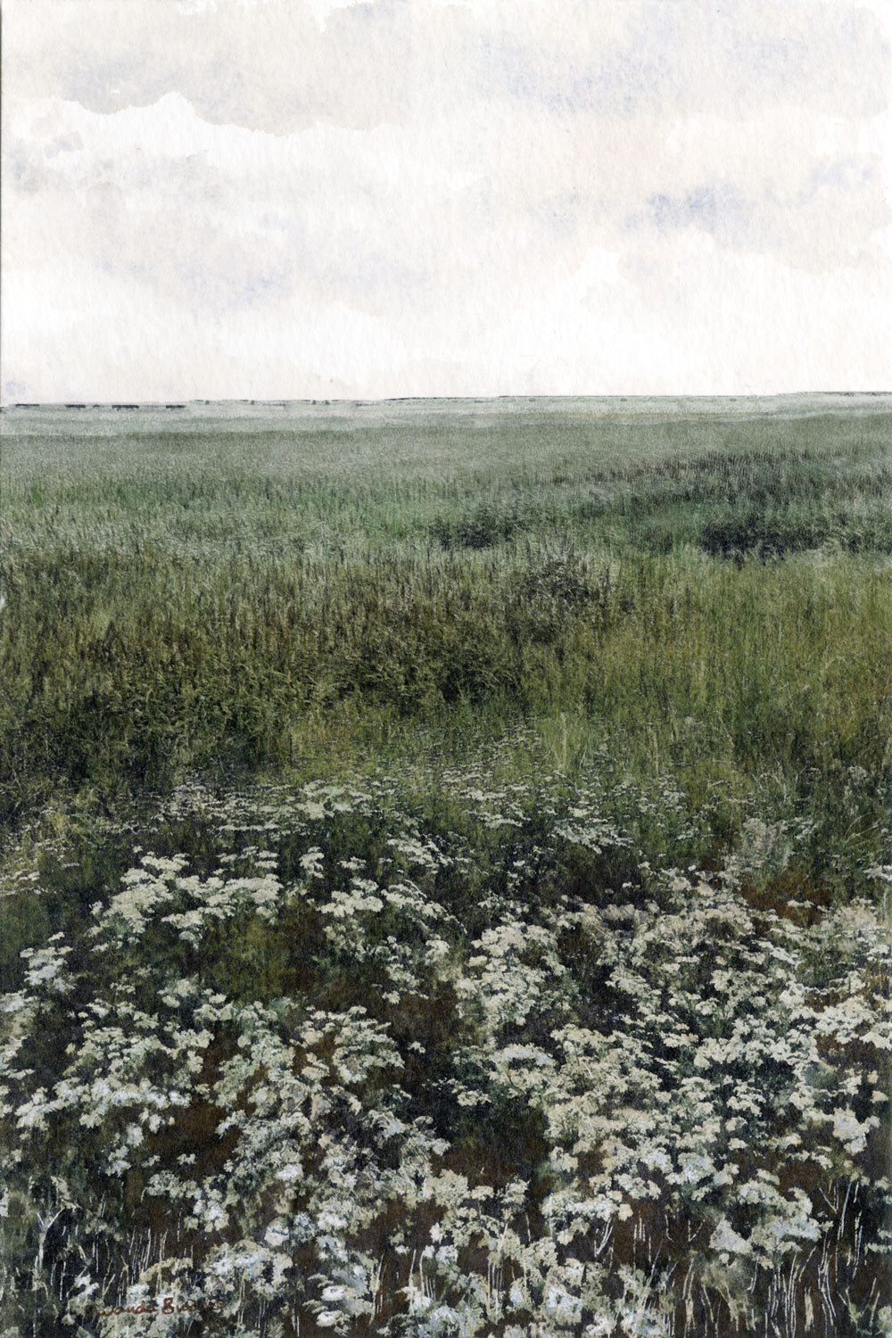 Norfolk Coast Path with Flowers