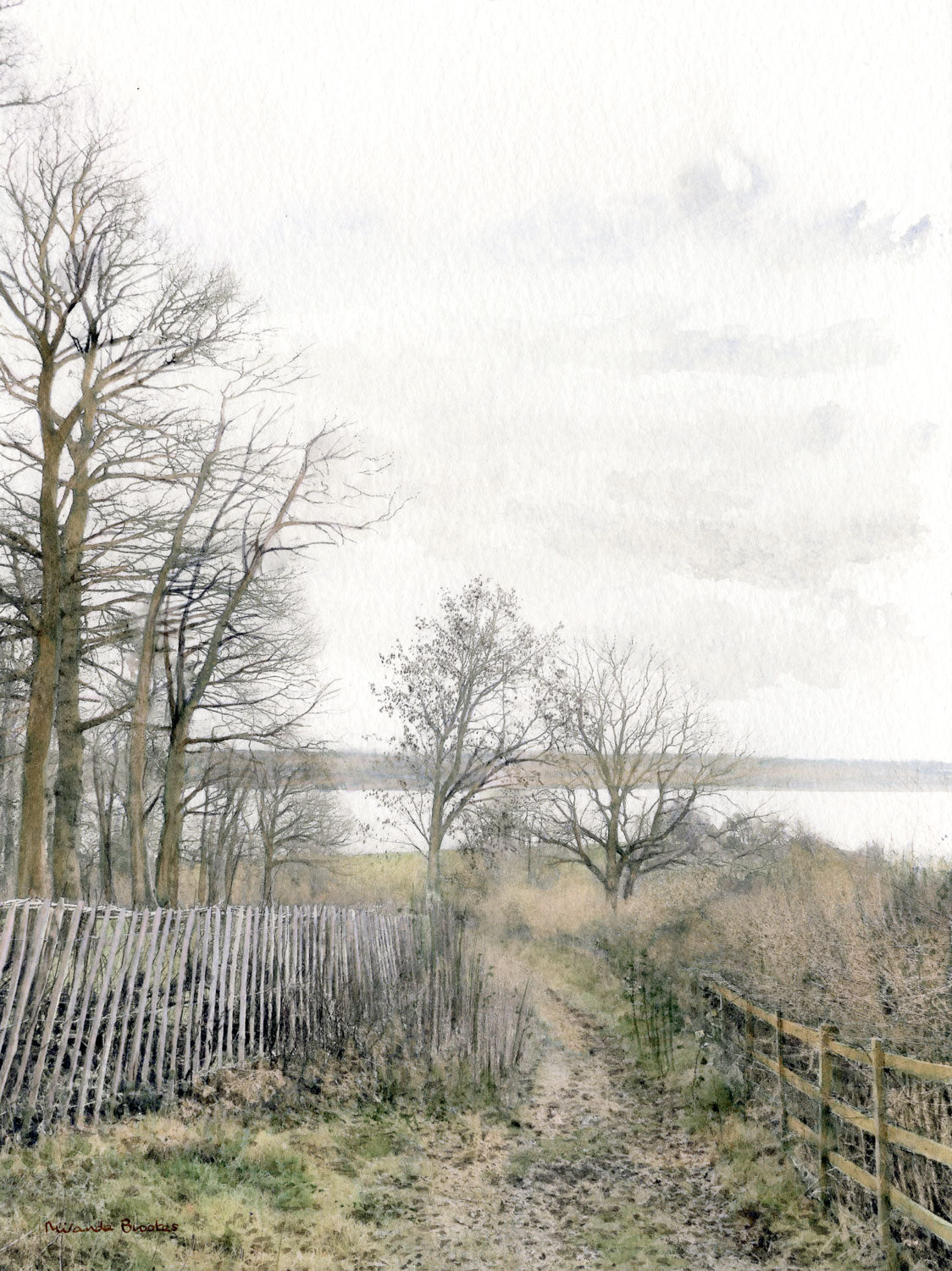 Path Down to the Waters Edge