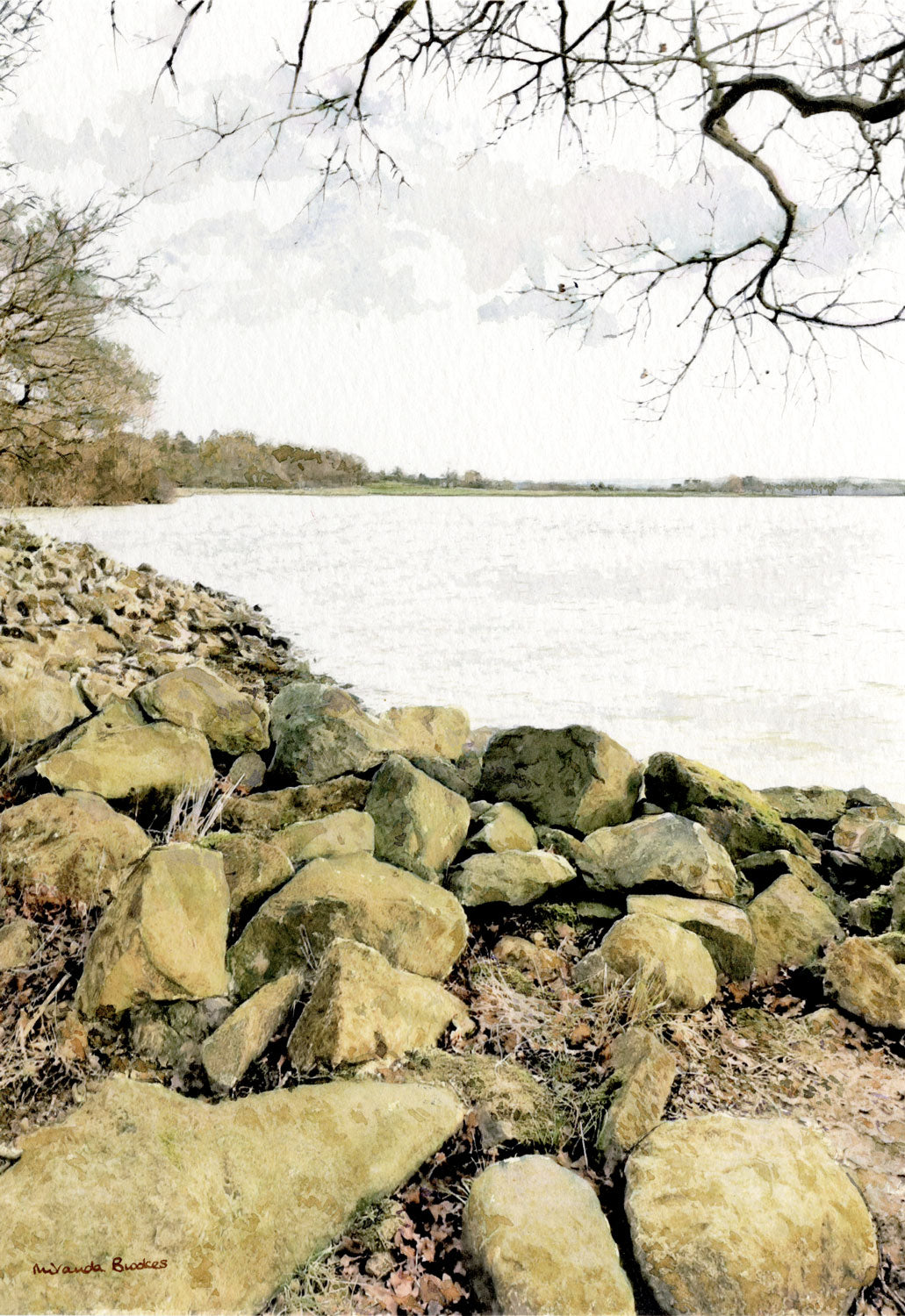 View from the Shoreline