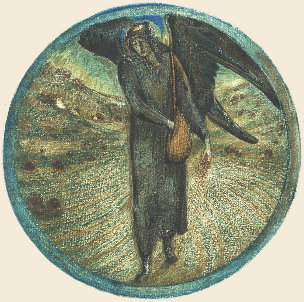 Most Bitter Moonseed