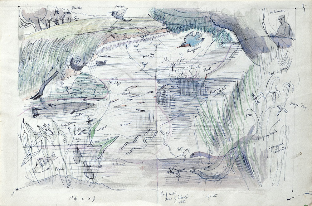 Summer Life in the River