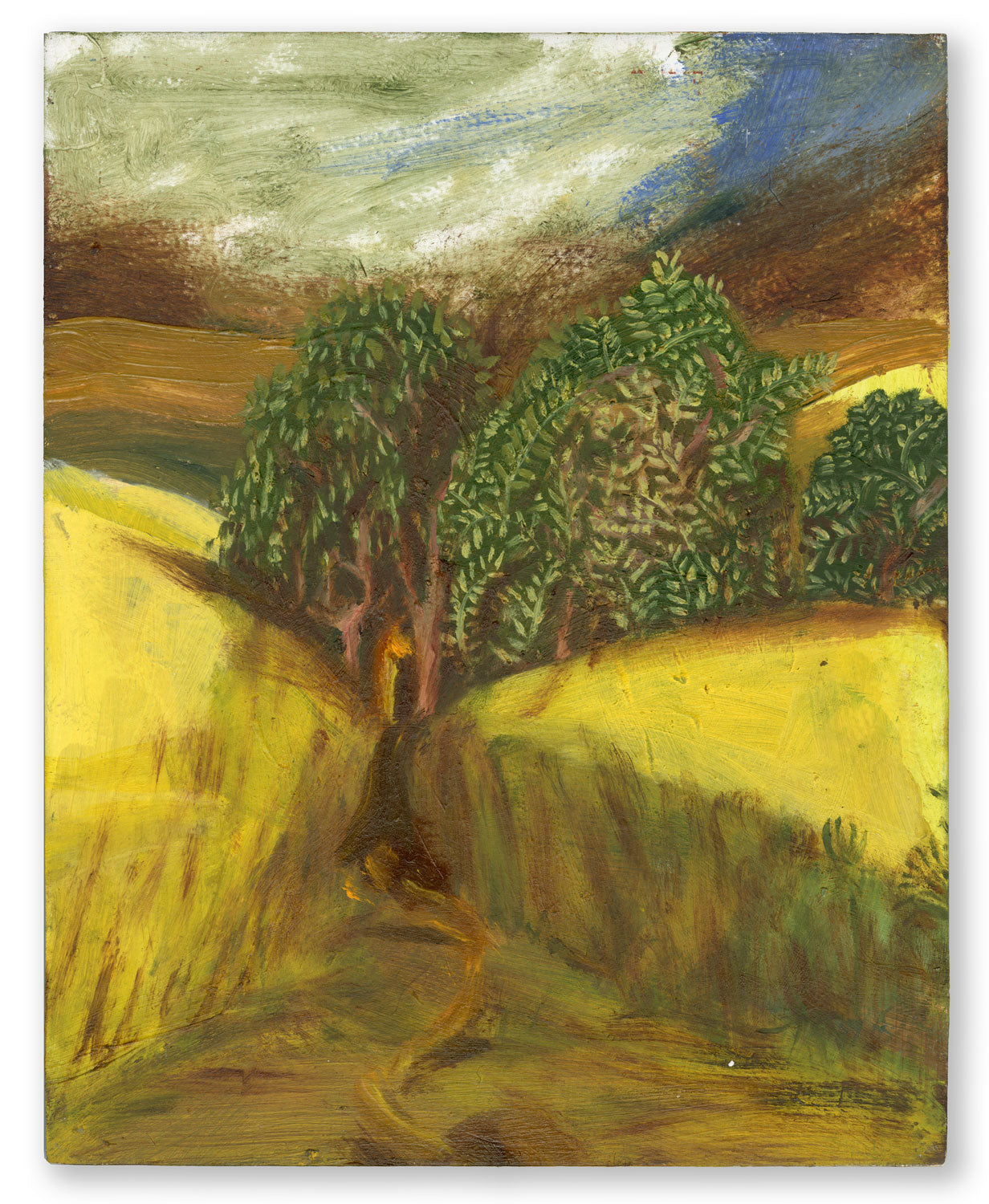 Edge of the Yellow Field