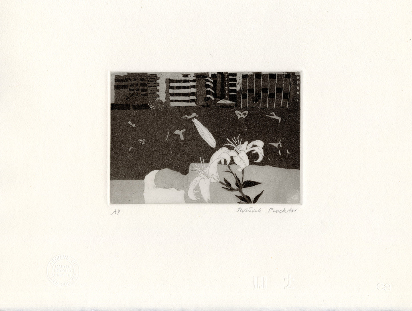 Sleeping Baby, Johannesburg