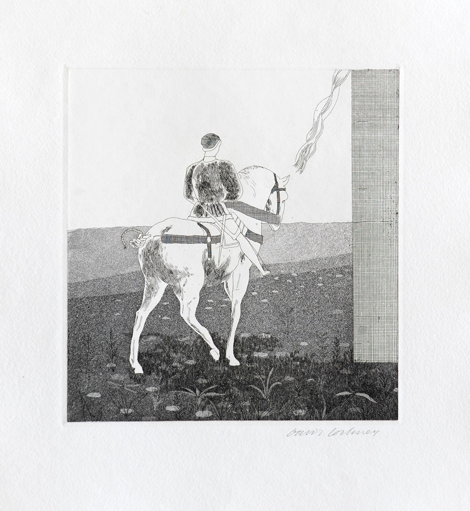 Rapunzel, Rapunzel, Let Down Your Hair