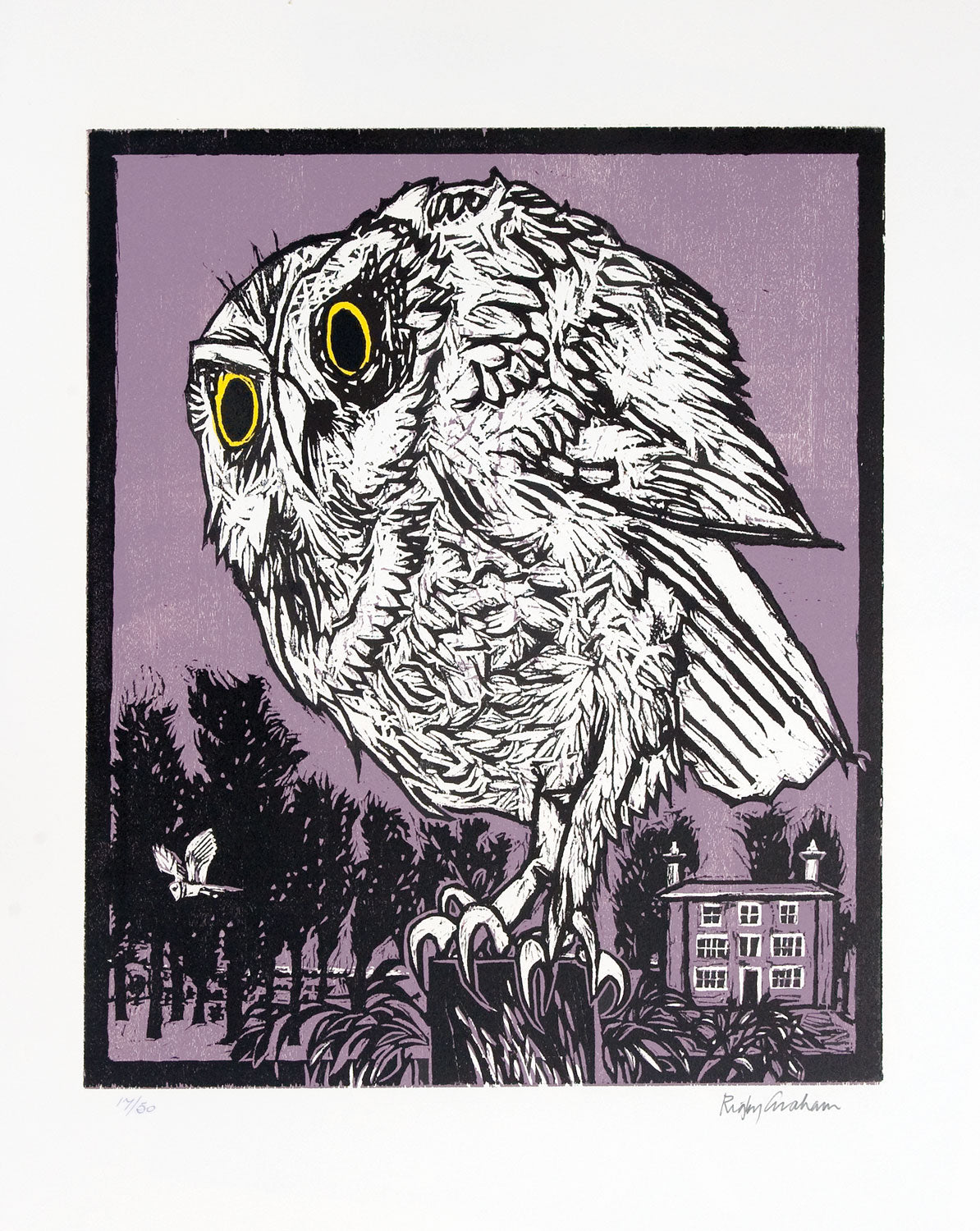 Owls at Leppits Hill