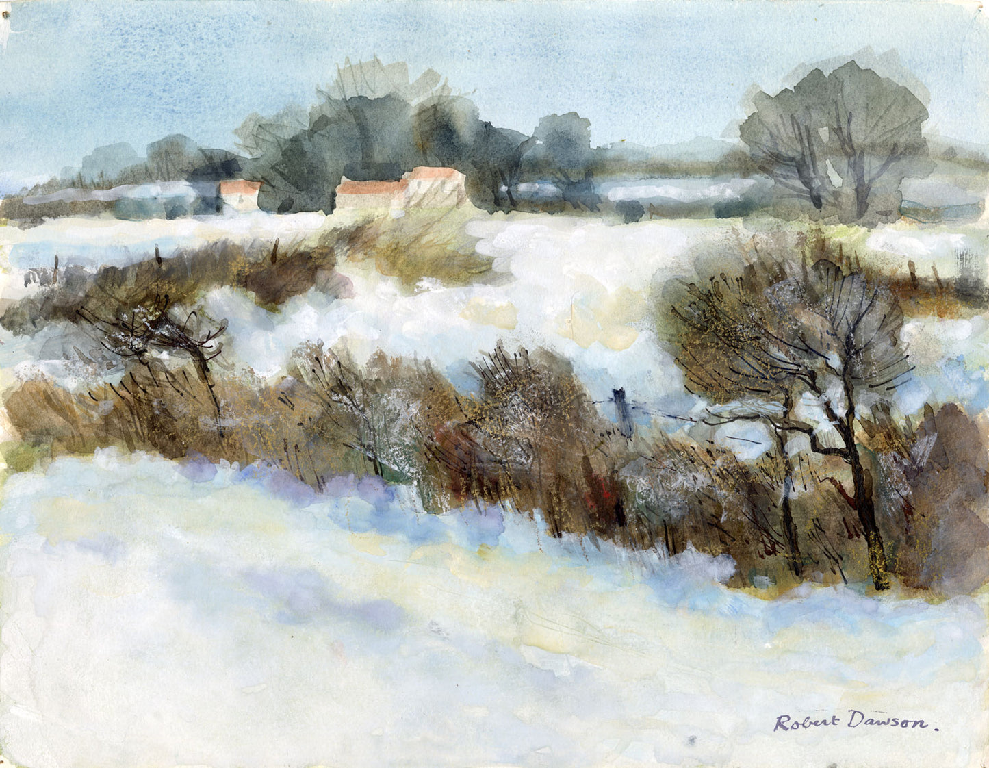 Winter Fields