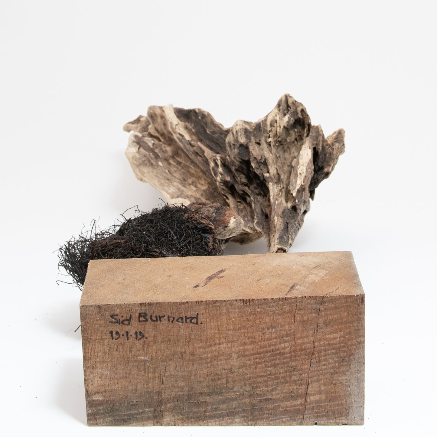 Bird with Tree No. 1