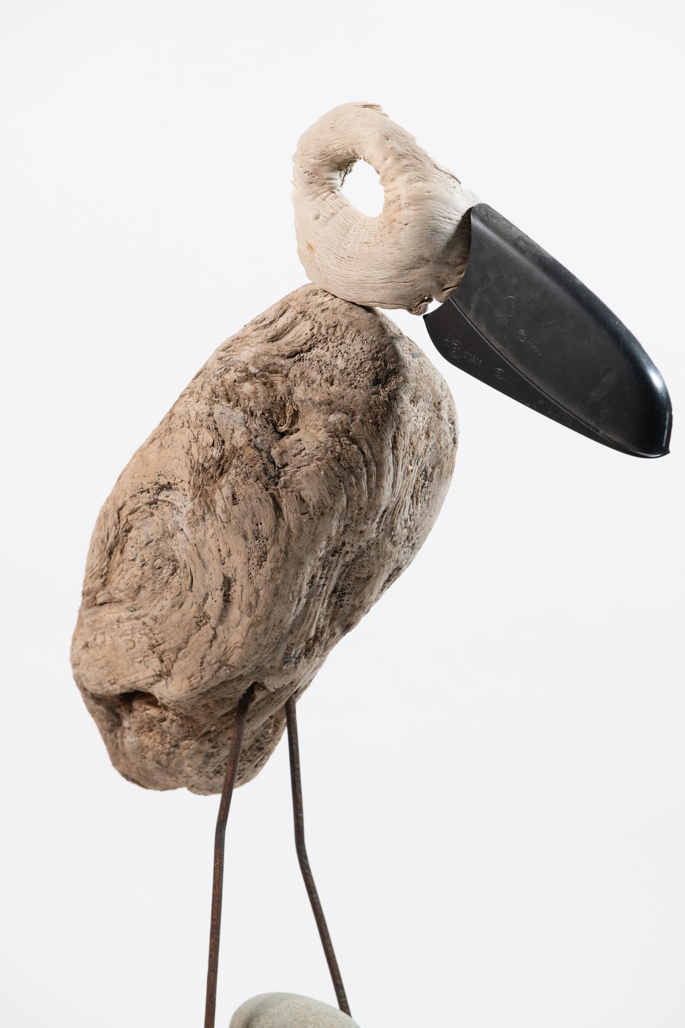 Black-Browed Albatross