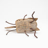 Goldmark's Orthoptera