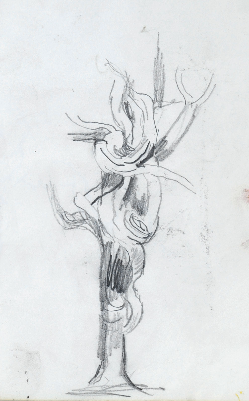 Graham Sutherland Twisted Tree Form Goldmark Graham sutherland twisted tree form goldmark