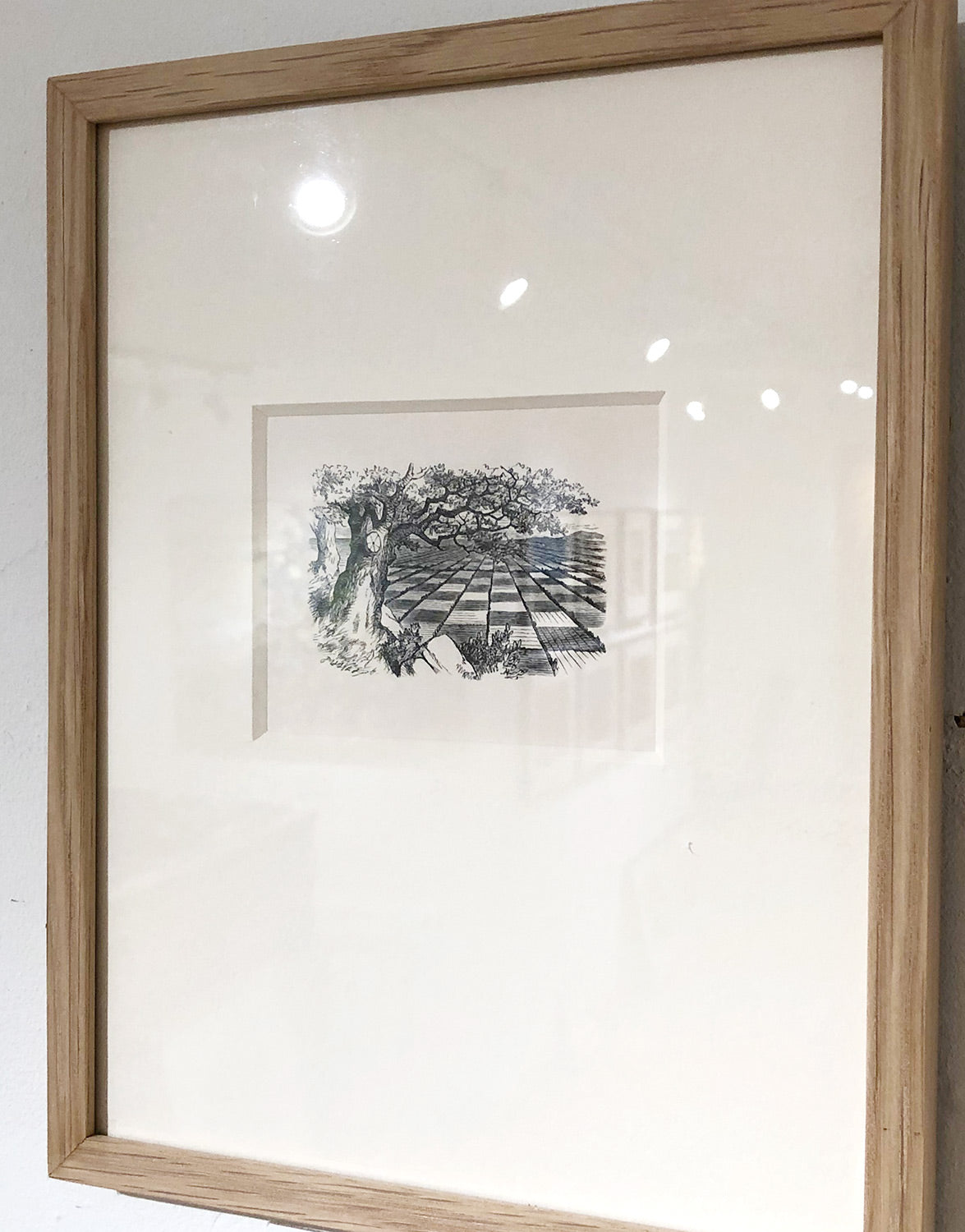 Alice stood without speaking, looking out in all directions over the country - and a most curious country it was...