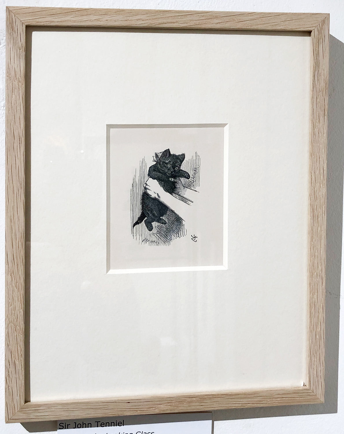 And it really was a kitten, after all...