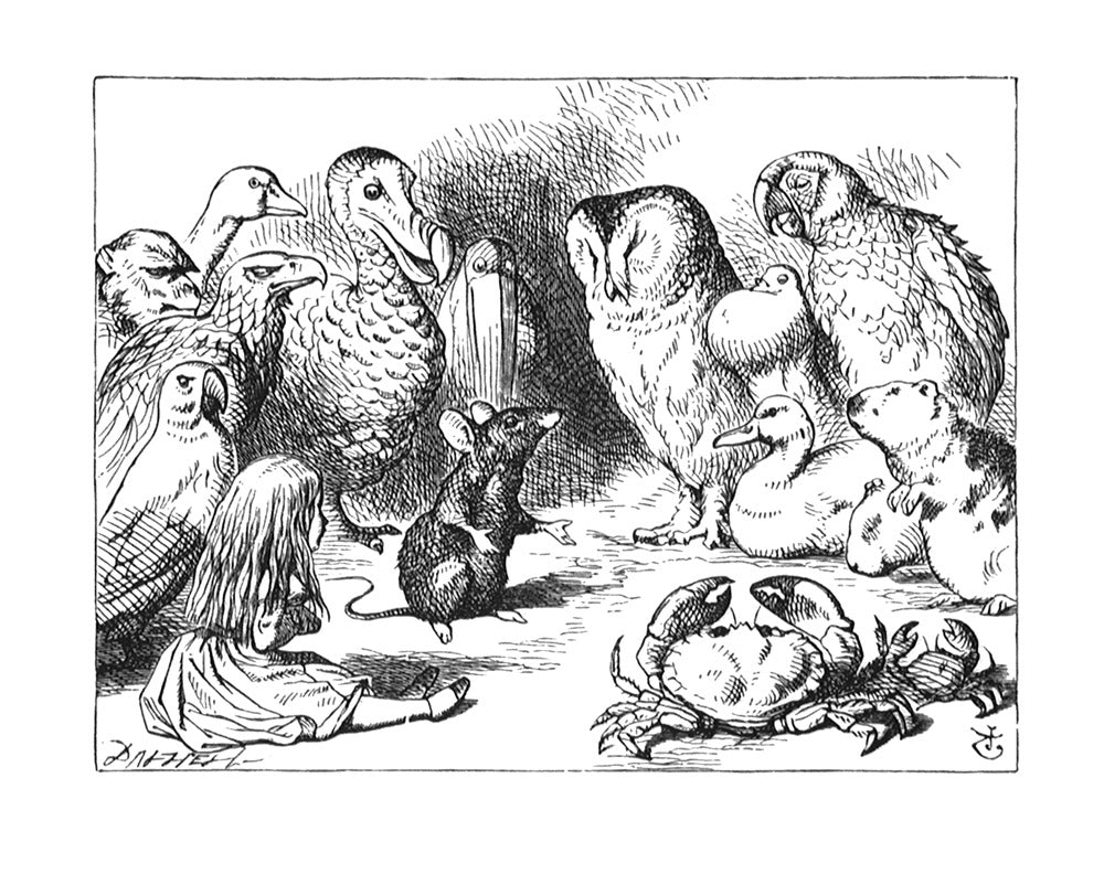 They were indeed a queer-looking party that assembled on the bank