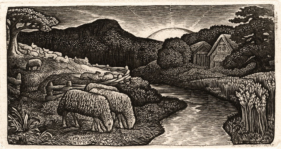 The Sheep of His Pasture