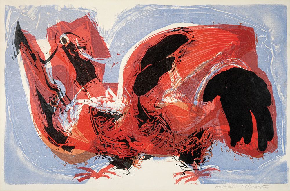 Cock with Spread Wings