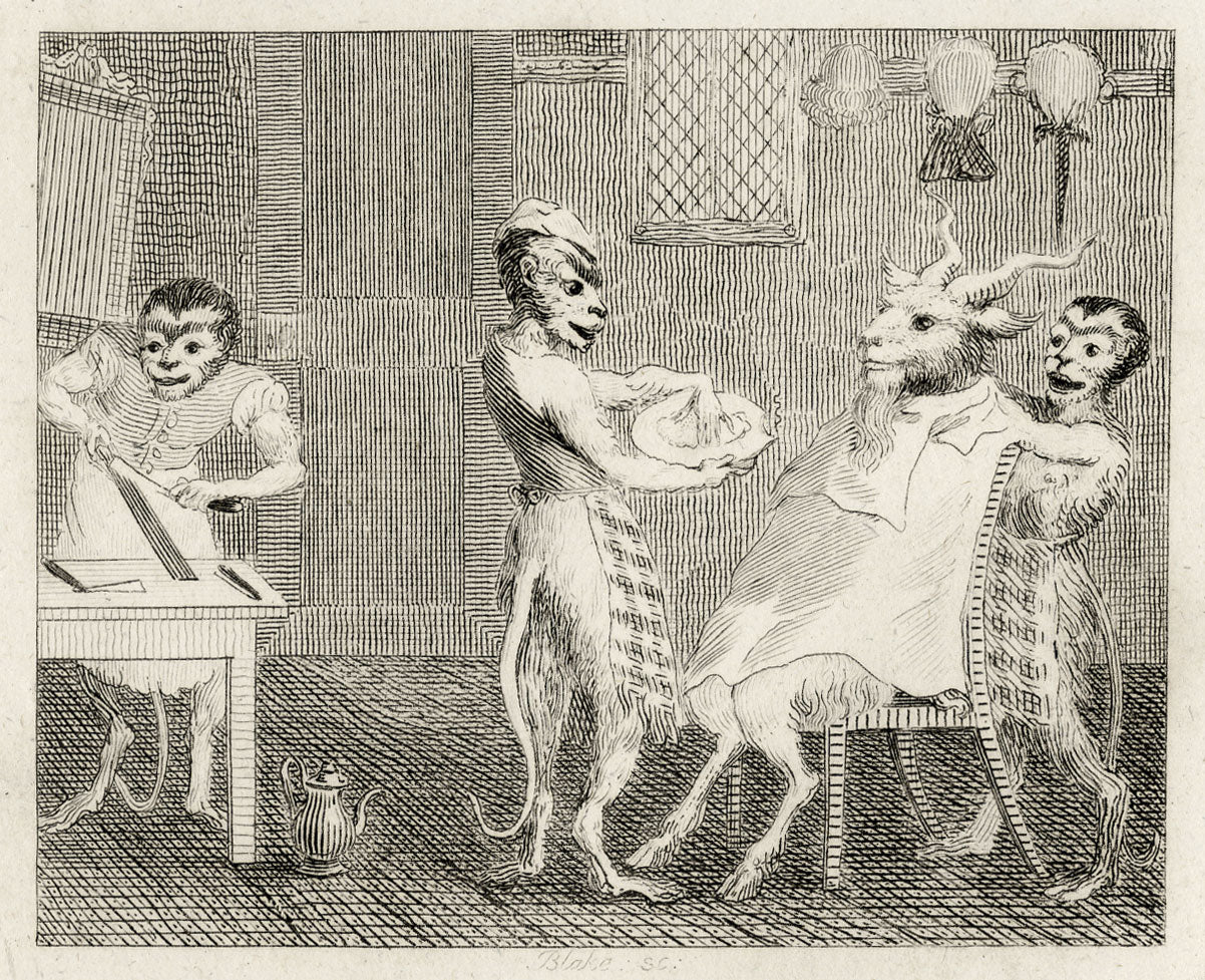 The Goat Without a Beard