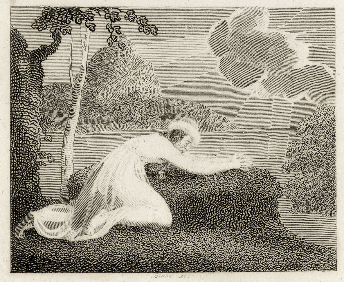 The Persian, the Sun and the Cloud