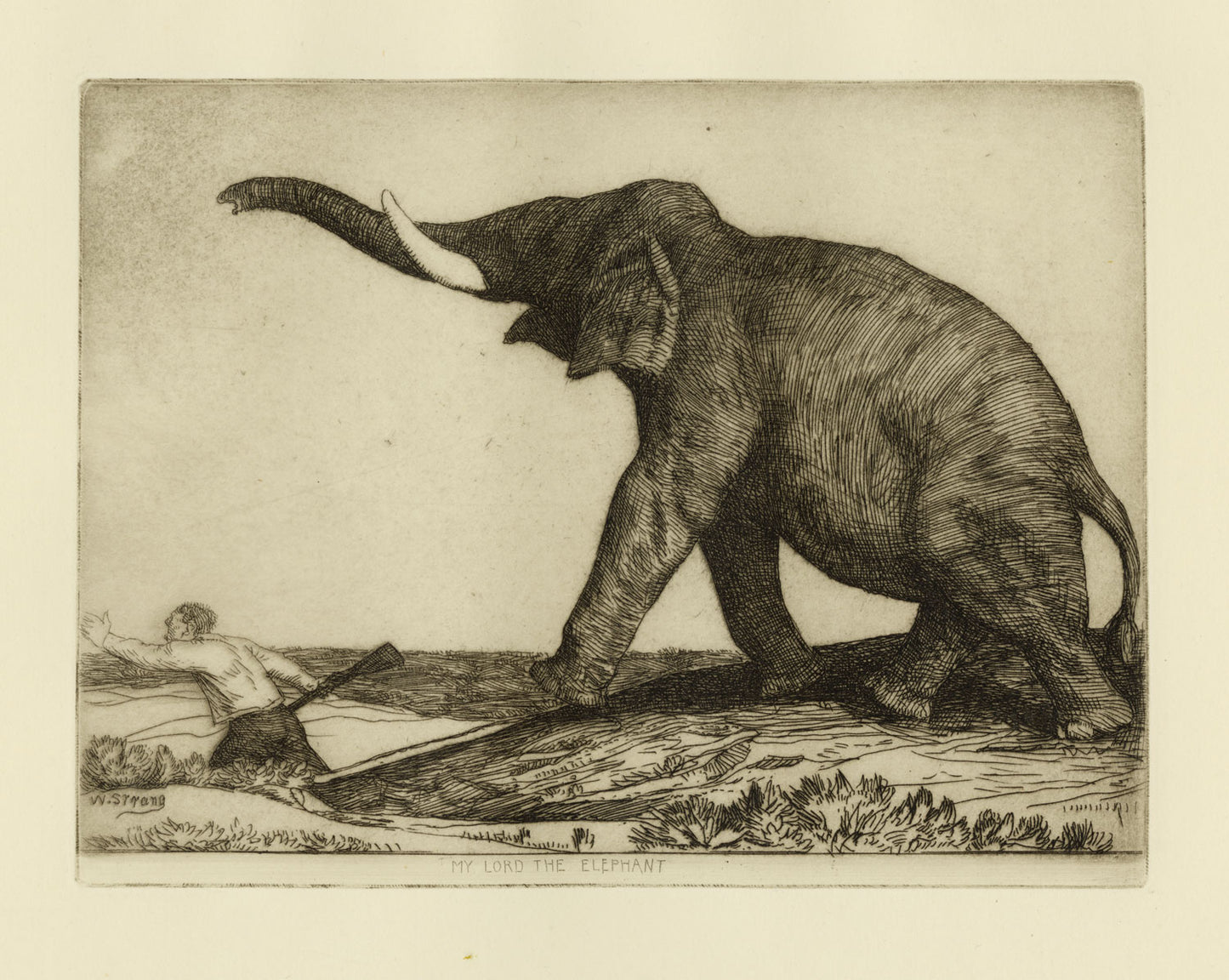 My Lord the Elephant