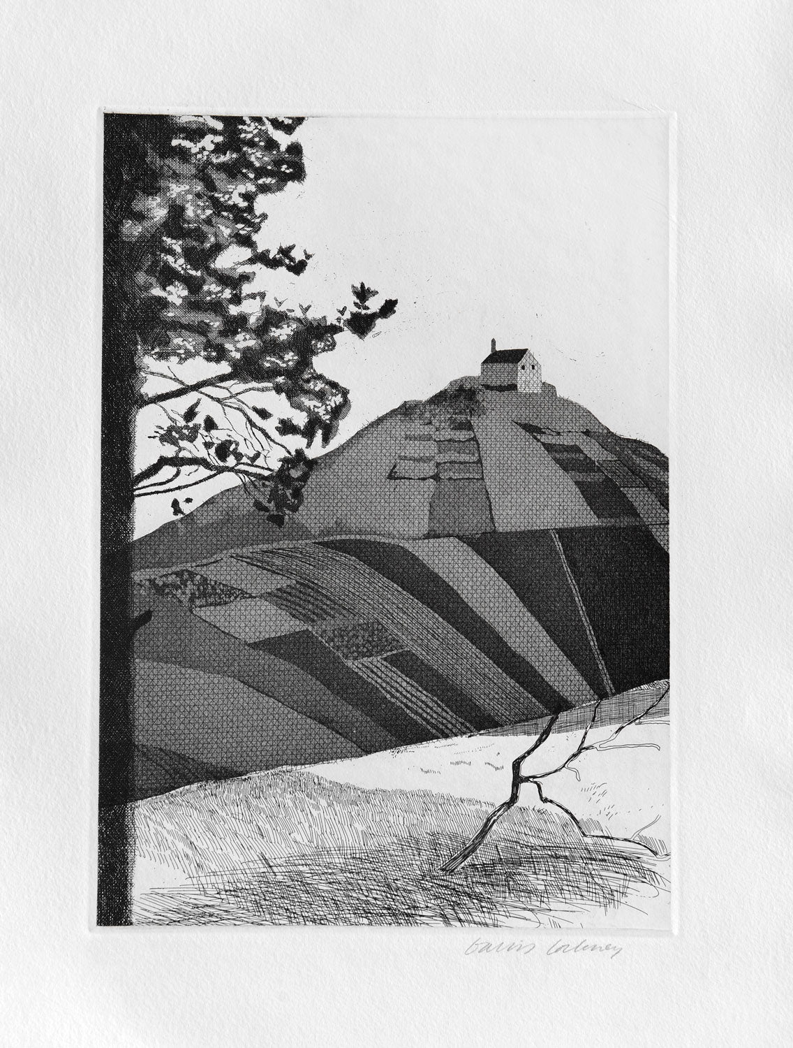 版画 Ake Holm lithograph #81 David med harpan David Hockney A Wooded Landscape – Goldmark