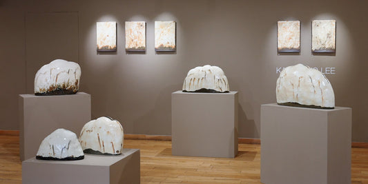 Kang-hyo Lee Exhibition Walkthrough Film
