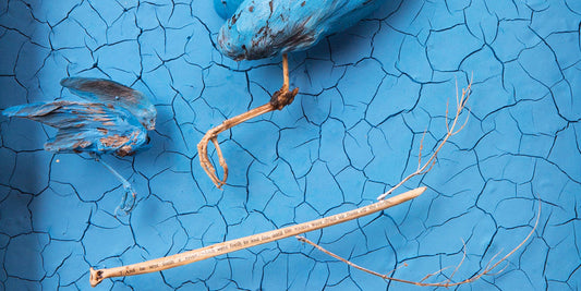 Richard James: Assemblage Notes and Details