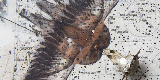 Richard James: Assemblage Art' by Robert Macfarlane. Richard James work for sale from Goldmark.