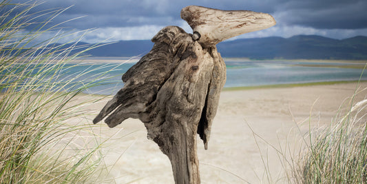 Sid Burnard Exhibition 2026