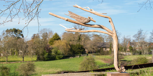 Sid Burnard Exhibition Promo Film