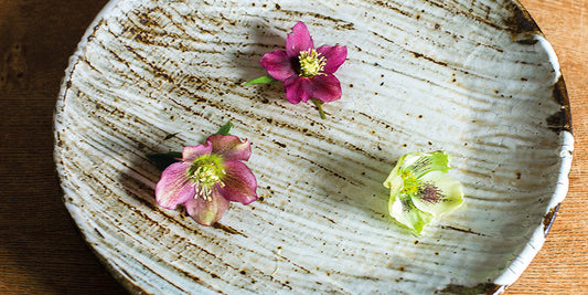 Unpacking New Ceramics by Lisa Hammond MBE