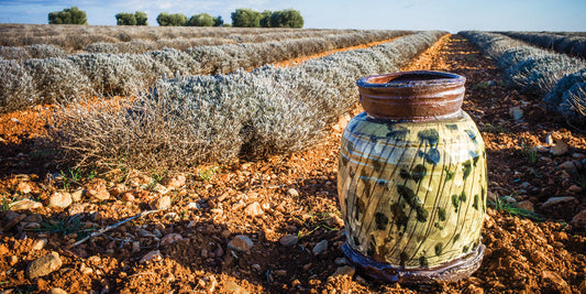 Watch Jean-Nicolas Gérard making vases and view and buy his slipware pots for sale