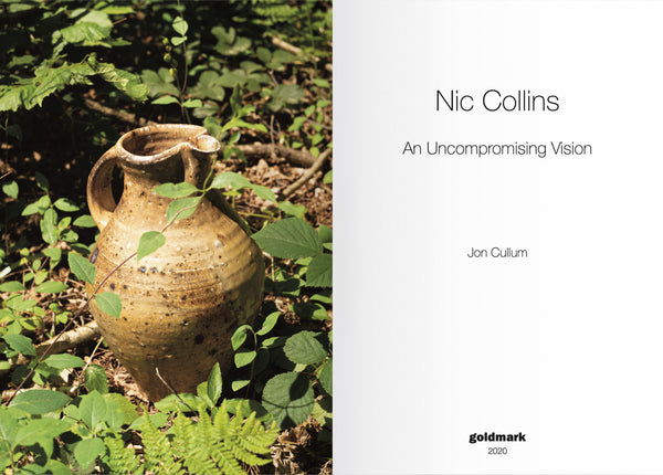 Nic Collins - An Uncompromising Vision