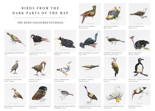 Birds from the Dark Parts of the Map