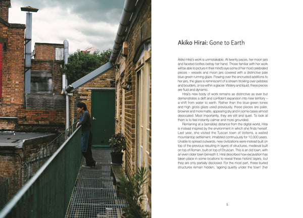 Akiko Hirai - Gone To Earth