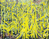Maize