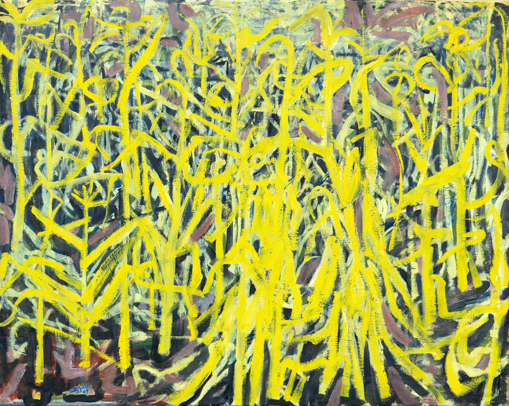 Maize
