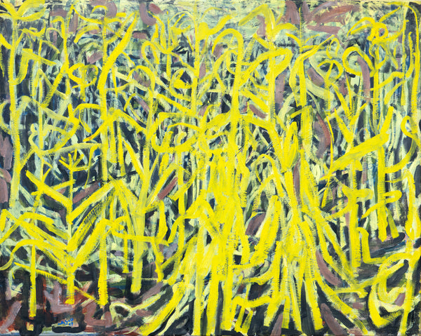 Maize