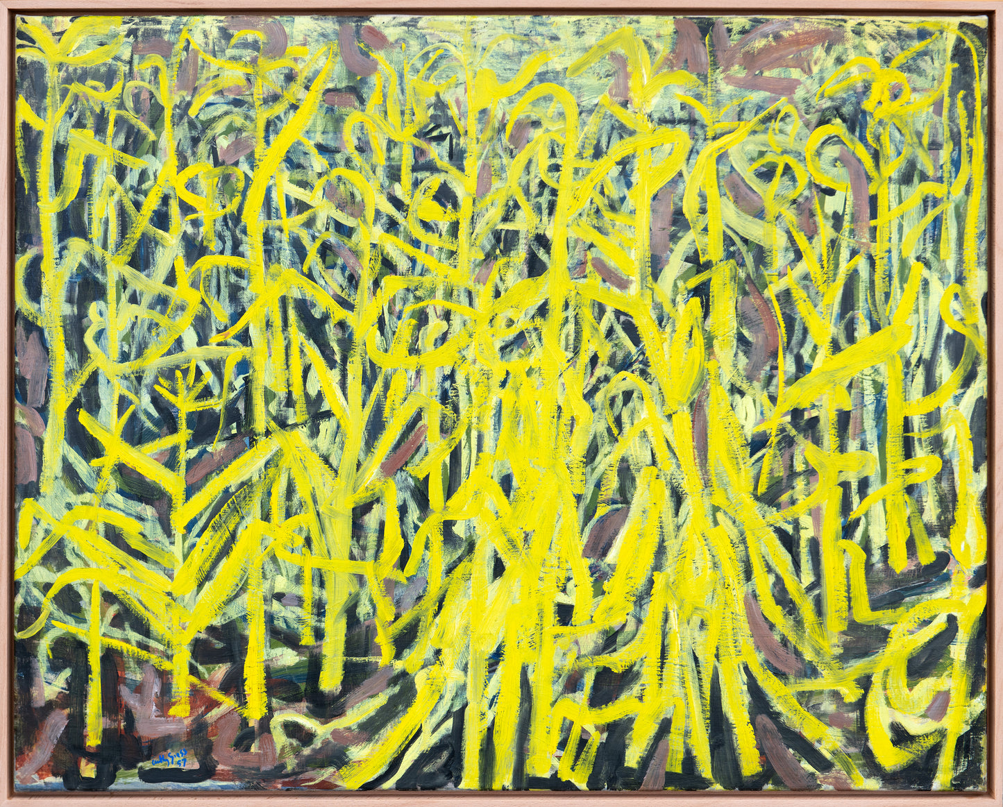 Maize