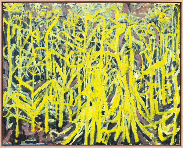 Maize