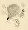 Porcupine