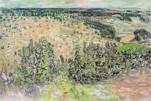 Start of the Valley, Taxier