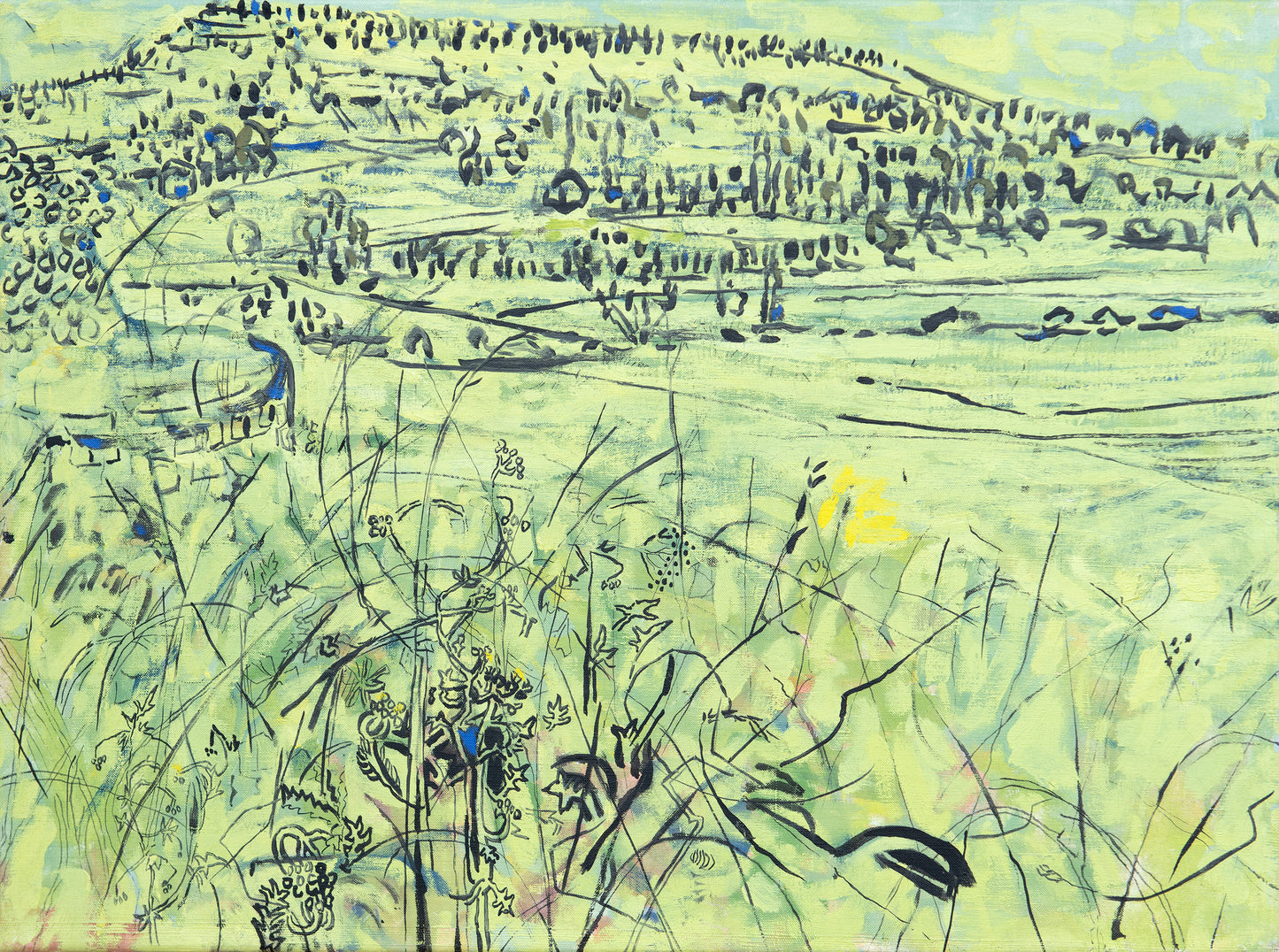 View across the Valley, Lot