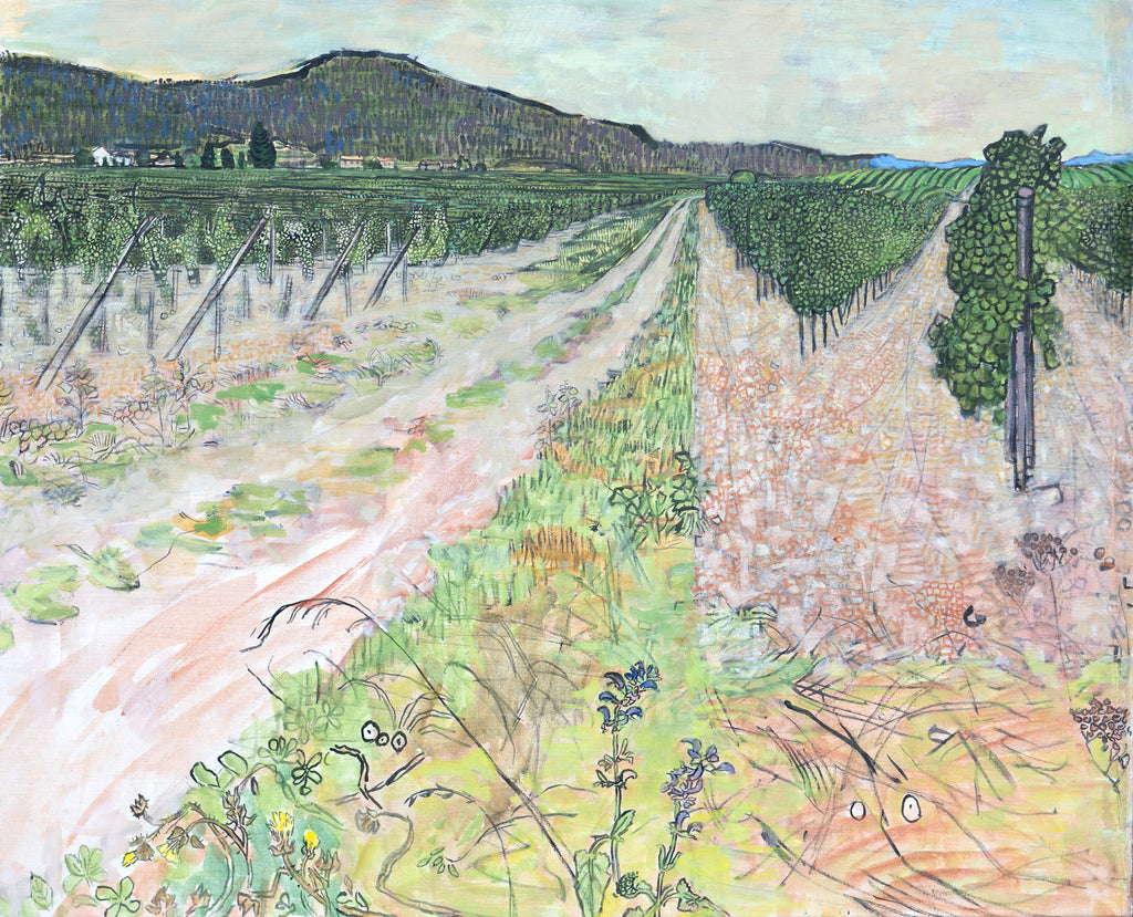 Vineyard