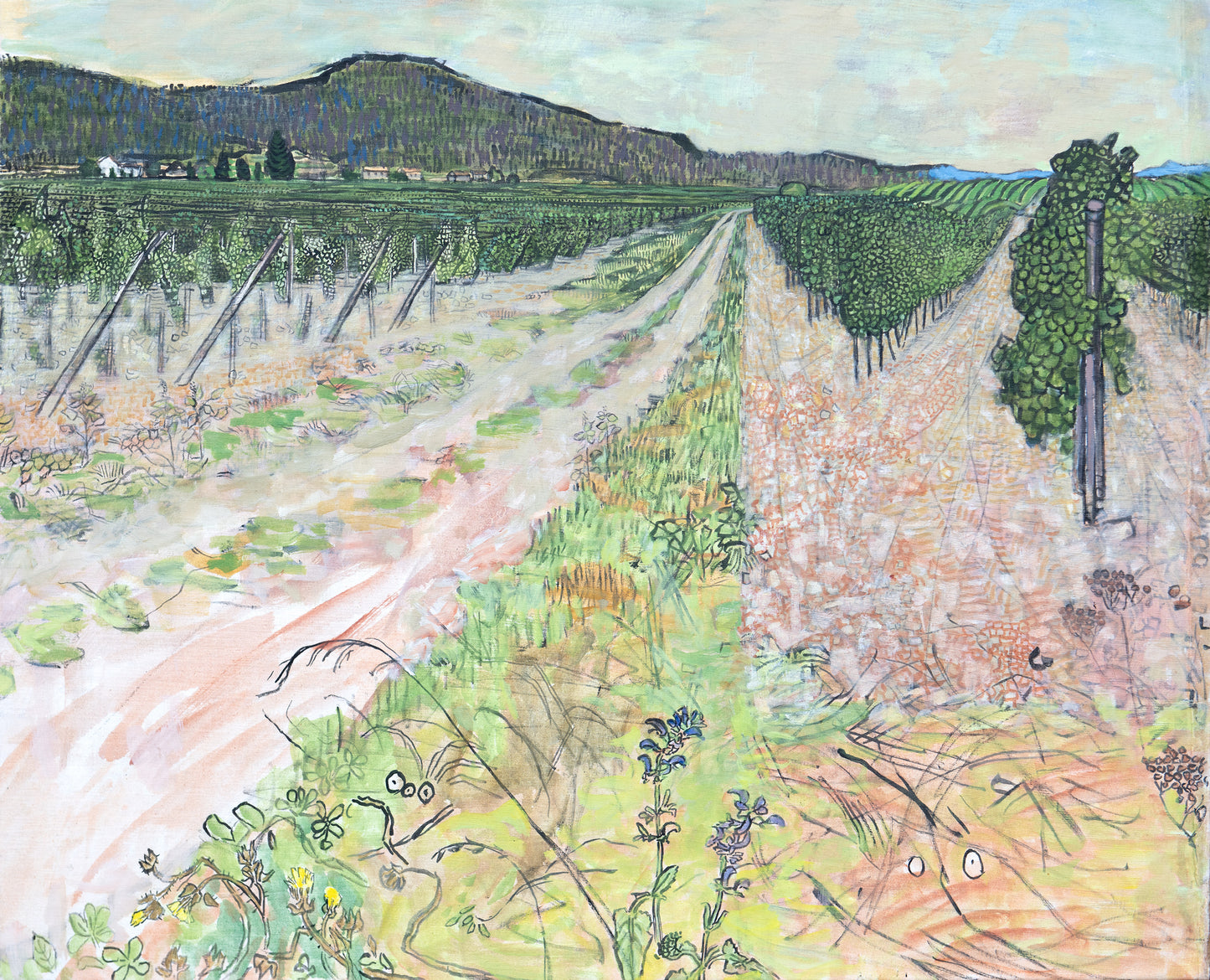 Vineyard