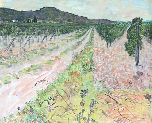 Vineyard