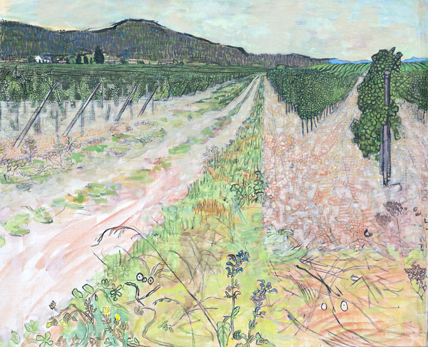 Vineyard